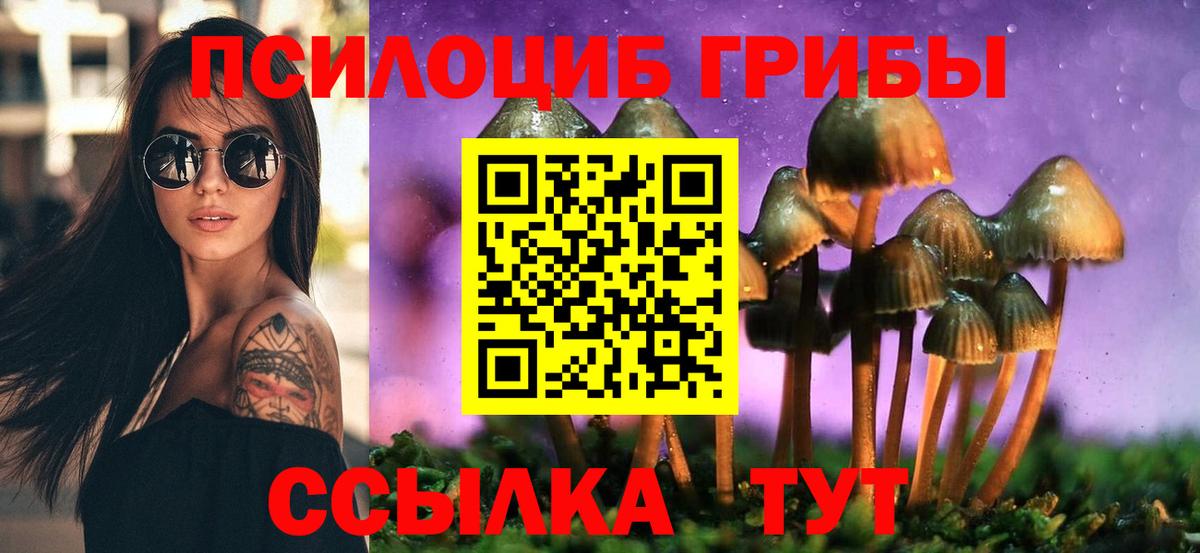 Псилоцибиновые грибы Cubensis Алатырь