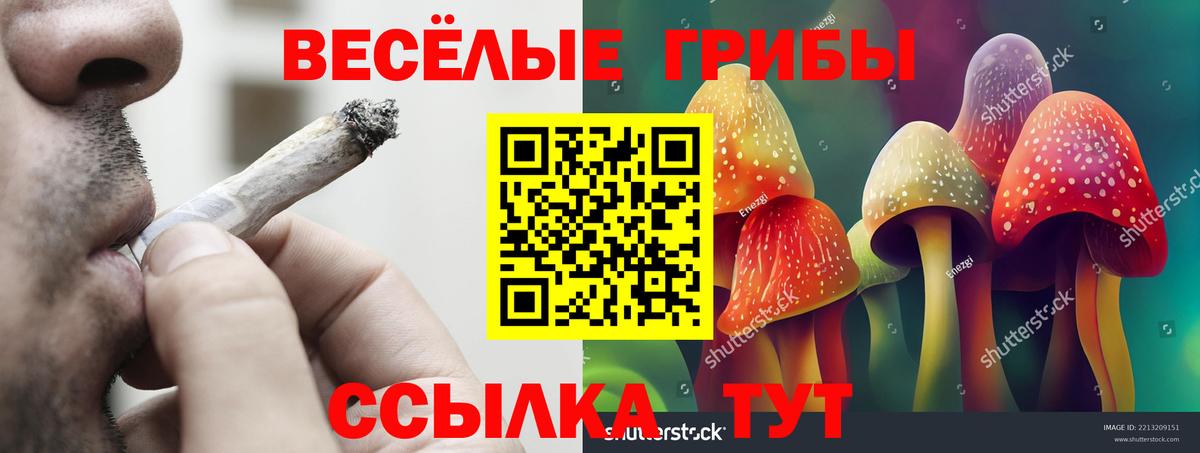 Алатырь  Галлюциногенные грибы MAGIC MUSHROOMS  Вход с VPN 